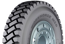 WORKHORSE MSD
